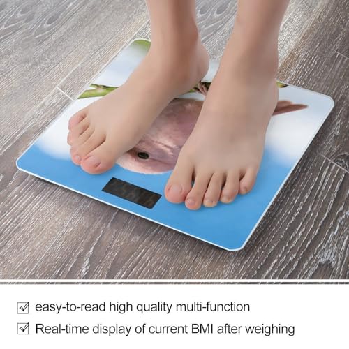 Báscula Digital de Baño con Plataforma Vidrio Templado miniatura 5