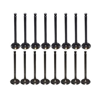16PCS Engine Intake Exhaust Valve Set 2.0 L Compatible with Hyundai Kia Soul Elantra G4GC G6BA G4EC 2.0L Gas DOHC 2221123600 2221223600