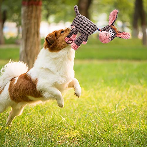 AWOOF Spielzeug für Hunde, Interaktives Plüsch Hundespielzeug, stabiles Quietschende Hundespielzeuge mit Baumwollstoff, Kauknochenspielzeug für Welpen, kleine, mittelgroße und große Rassen(4 Pack)