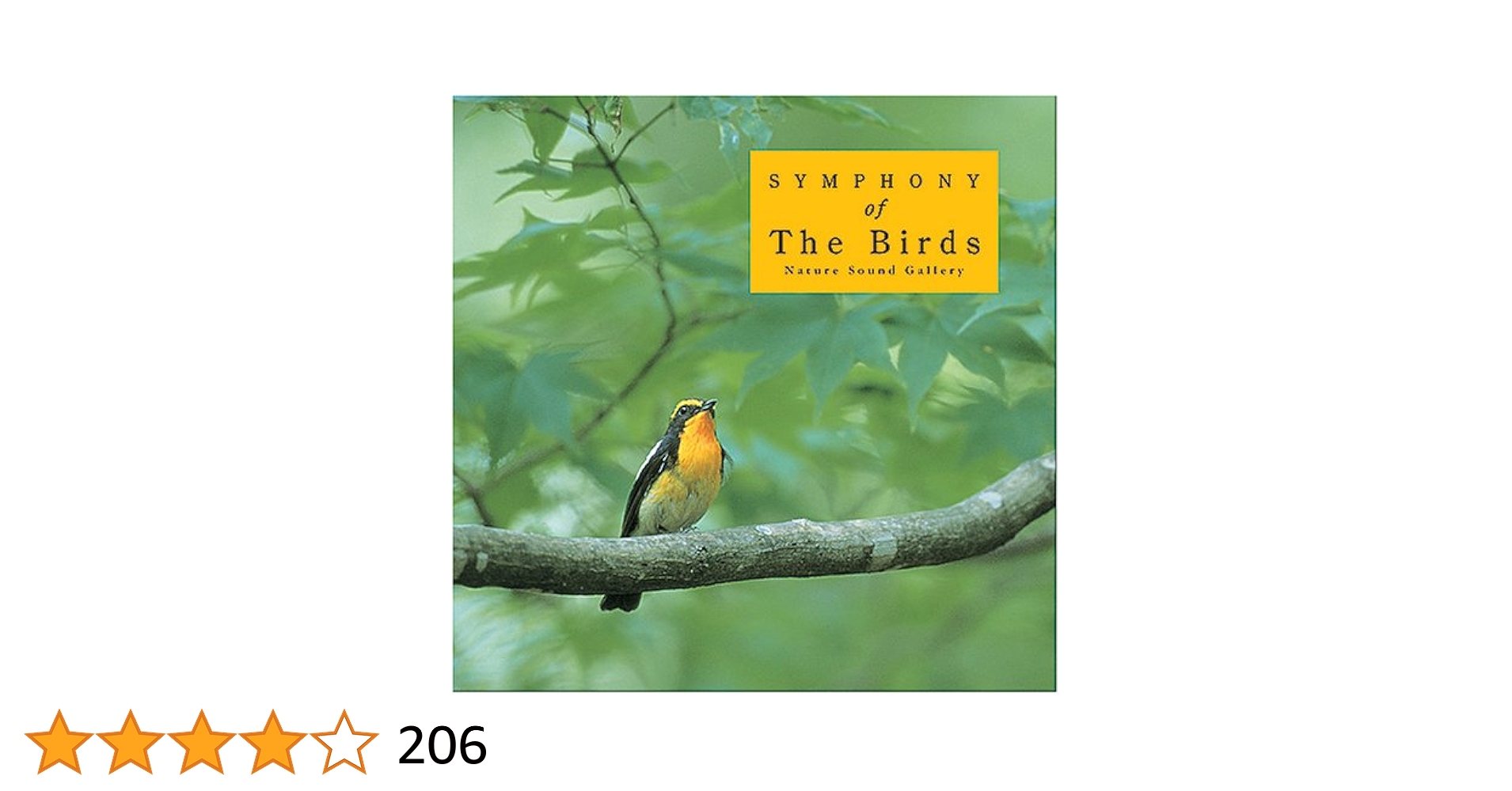 癒しの森 CD 自然音 鳥 鳴き声 Spring Forest / Bird Singing / 1 hour Relaxing videos - YouTube