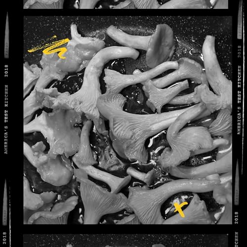 The (Social) Mushroom Network cover art