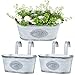 BOOMTOP 2pcs Metall Blumentopf Hängend Vintage Blumentöfpe mit Abnehmbar Haken Hängetöpfe für Pflanzen Blume Hängetopf zum Aufhängen für Balkon Garten Wand Terrasse Innen Außen Antik Weiß 27x14x12cm