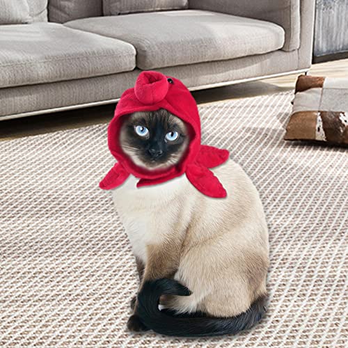 gazechimp Chapéu de e gato chapéu roupa de roupa de animal bonés para festa de gatinho de Halloween