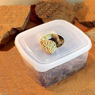 産卵箱・ネスティングボックス（爬虫類用）