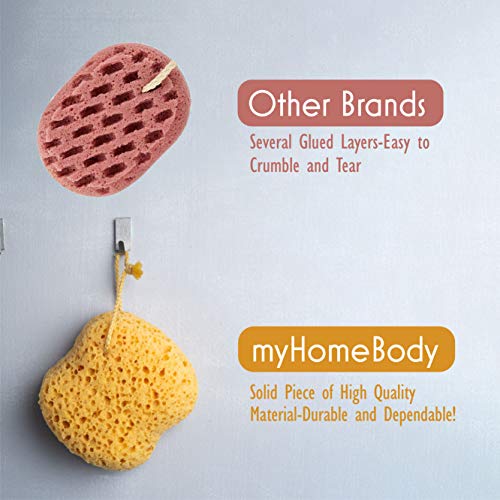 myHomeBody-Premium-Bath-Sponge-Foam-Loofah-Sponge-Body-Sponge-for-Shower--Large-Size-Lots-of-Lather-Curvy-2-Pack