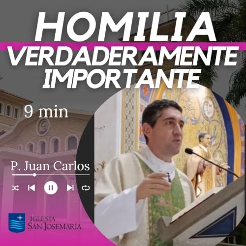 HOMILIA: Verdaderamente importante (9 min)