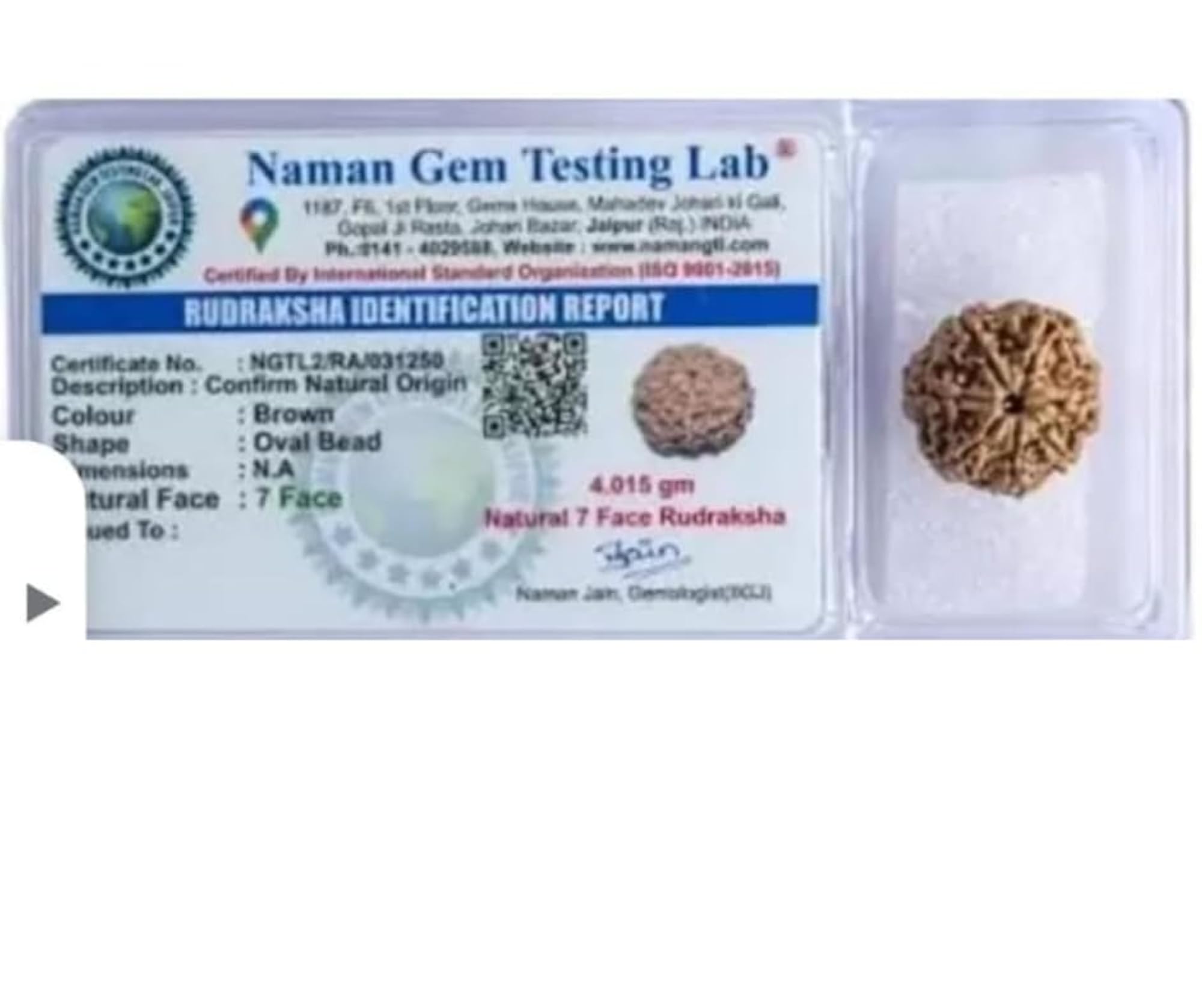 Natural 7 Mukhi Rudraksha Bead, Collector's Item