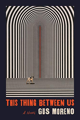 Cover of This Thing Between Us: A Novel