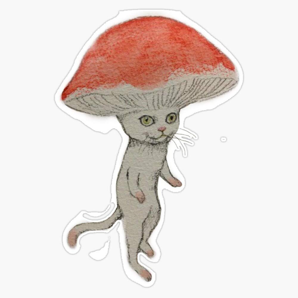Mushroom Cat Sticker Decal Vinyl Bumper Sticker Decal Waterproof 5
