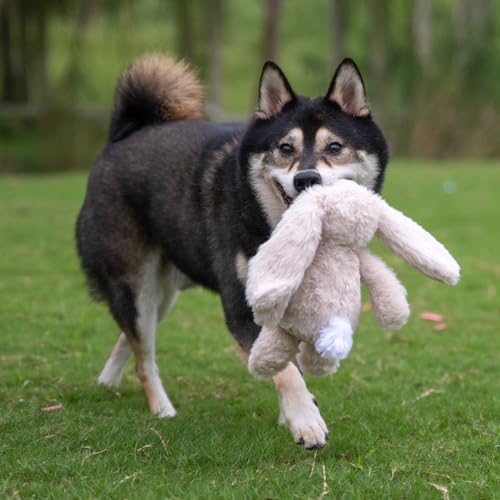 Image of Best Pet Supplies Interactive Squeaky Dog Chew Toy, Ideal Dog Toys for Chewers, Small, Medium & Large Dogs, and Fetch Lovers - Bunny (Beige), Small
