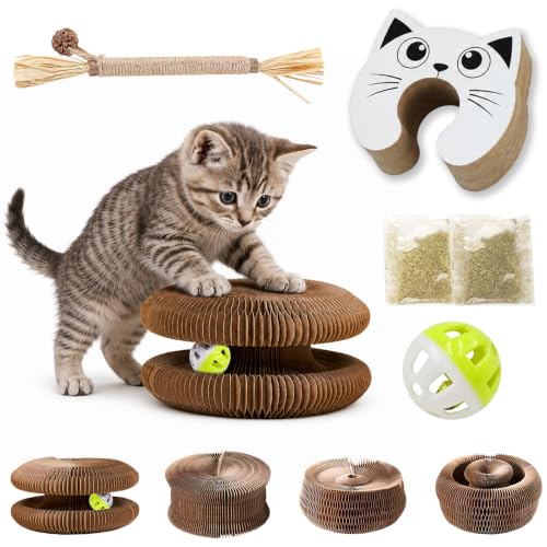 Katzenspielzeug 5 Stück Magische Orgel Katzenkratzbrett Kratzbrett Katze
