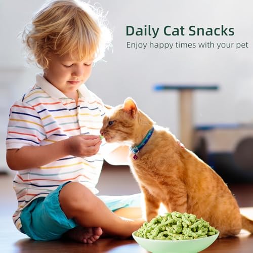 PAWSToyTechy-Cat-Hairball-Treats-450g-Kitty-Teeth-Cleaning-Catnip-for-Indoor-16-Oz-Fish-Shape-Cat-Nip-Dry-Food-Healthy-Chicken-and-Salmon-Flavor-Grass-Biscuits