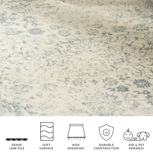 SAFAVIEH Area Rug 8x10 - Adirondack Collection - Large - Ivory & Slate, Distressed Vintage Floral Design, Non-Shedding & Easy to Clean, Ideal for Living Room, Bedroom, Dining Space (ADR109S)