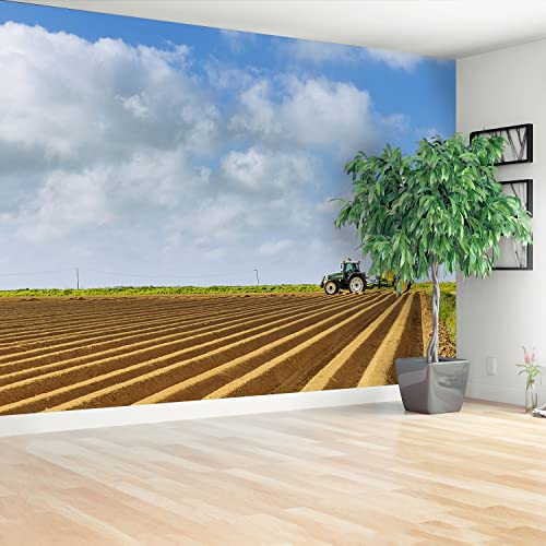 Papier Peint Moderne Nature 250x104cm Décoration Murale - 3