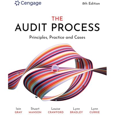 The Audit Process