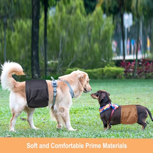 Image of Langsprit Male Belly Bands for Dogs (Pack of 3) - High Absorbing Dog Wraps Male Washable - Reusable Small Doggy Doggie Puppy Dog Diapers XL Size ColorZLH