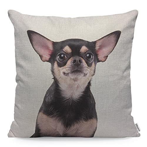 WONDERTIFY - Federa per cuscino per cani Chihuahua realistica Chihuahua con foto di cane, per uomo e donna, federa per cuscino per soggiorno e fattoria, 45 x 45 cm