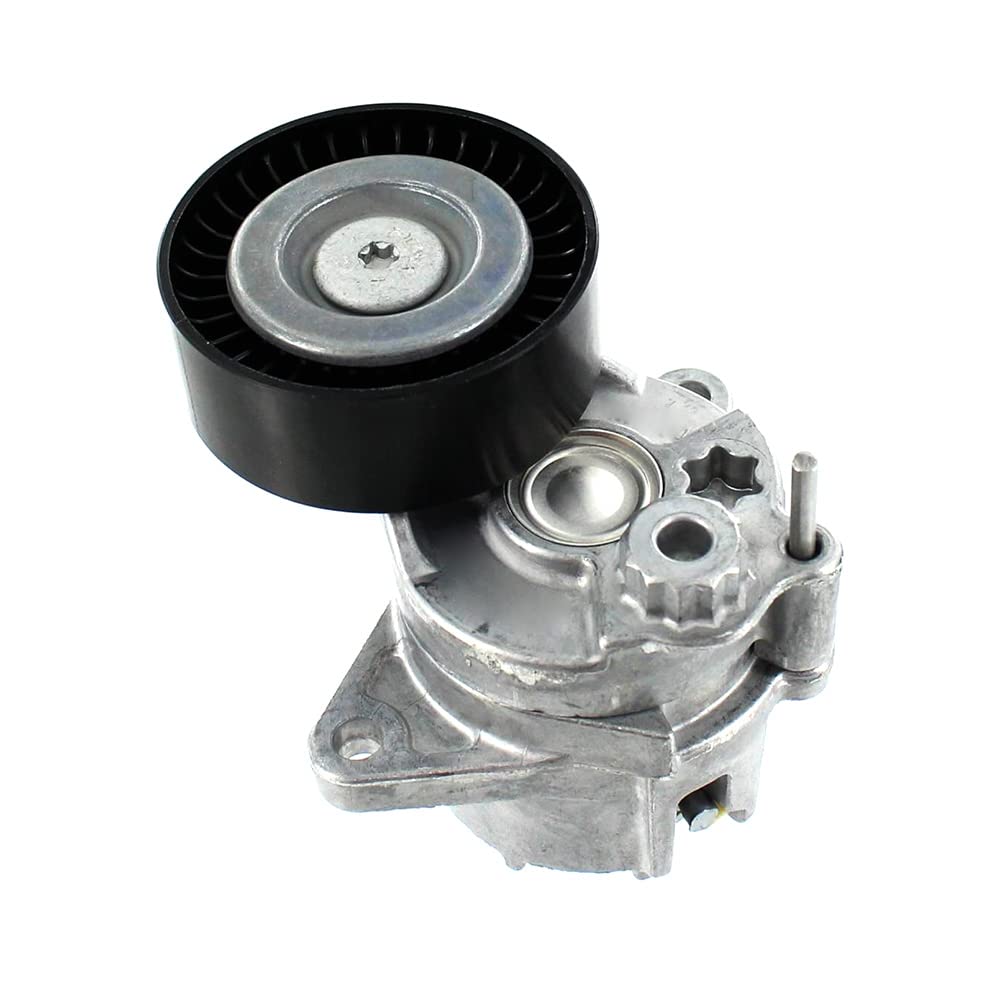 SKF VKM 38020 Kit Tendicinghia | Compatibile con: JEEP GRAND CHEROKEE II, MERCEDES-BENZ C-CLASS, C-CLASS, C-CLASS, C-CLASS Coupe, C-CLASS T-Model