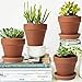 KOAMLY 6 PCS Clay pots and Plates, 5-inch red Clay pots with Drainage, Perfect for Indoor, windowsill, and Garden Plants