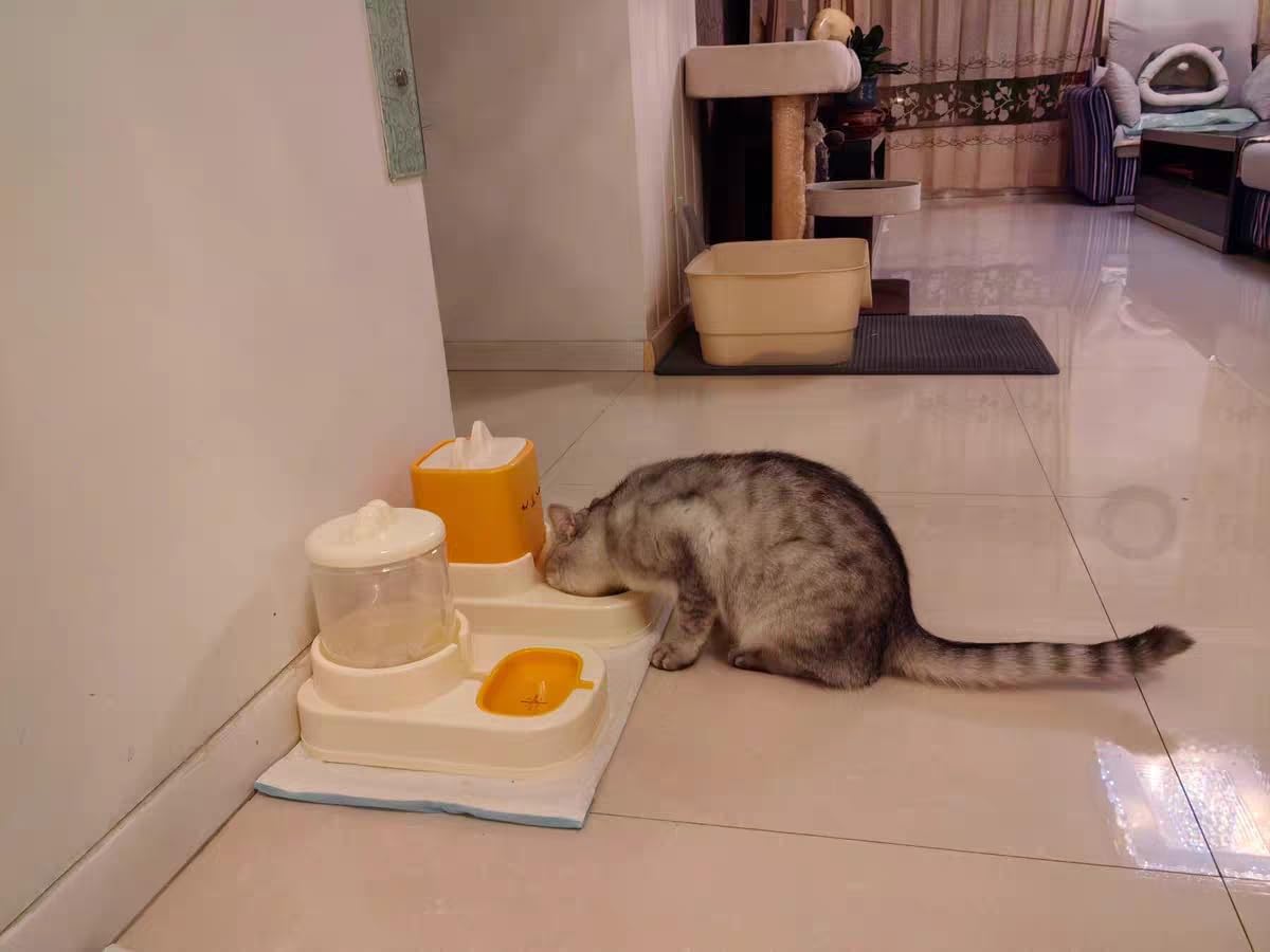 dispenser crocchette gatto,distributore cibo gatti, dispenser di cibo e irrigazione, 2 ciotole con erogatore d'acqua 2,2 l + 1,8 l (giallo)