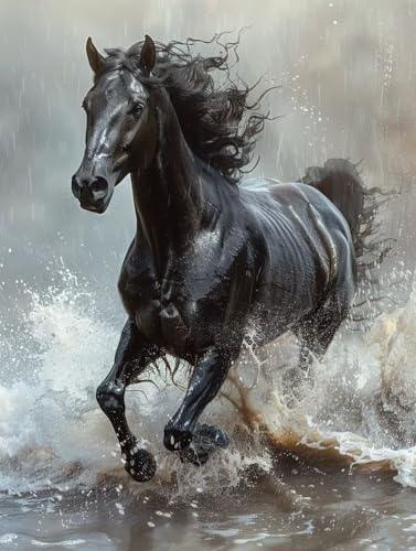 Peinture Diamant Cheval avec Strass Carré pour une Brillance Totale