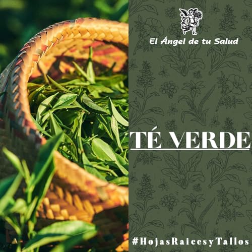 El &Aacute;ngel de tu Salud - T&eacute; Verde**
