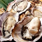 牡蠣 生がき［S］5kg（約35～60個） 生牡蠣 殻付き 生食用 宮城県産 雄勝湾 漁師直送 生ガキ 焼きカキ BBQバーベキュー