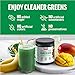 Force Factor Smarter Greens Daily Wellness Powder 3-Pack to Support Energy, Immunity & Digestion, Greens Powder, Superfood Powder with Vitamins, Minerals & Probiotics, Unflavored, 90 Servings
