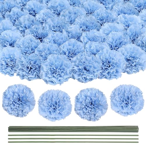 LFF Baby Blue Carnations