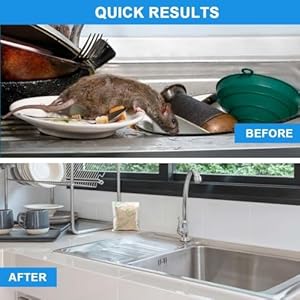 Pest control pouchesmouse repellents rodent repellent indooroutdoor extra strength peppermint oil mice repellent repel mosquito rodents roach ant bugsspider moths  other pest repellent  10p   cucciolini doodles