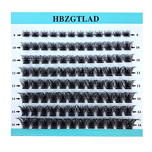 HBZGTLAD Mix 3D Fluffy Single Cluster False Lashes Premade Volume Fans Individual Eyelash Segmented Natural Fake Lashes For Eye Extension?Mixed Tray 96 Pcs (MIX-0.07mm-C Curl N1)