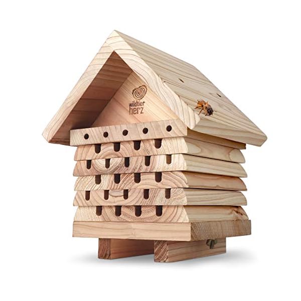 wildtier herz I Bienenhotel, schwere Ausführung aus verschraubtem Massiv-Holz, Nisthilfe für Wildbienen, wetterfest…