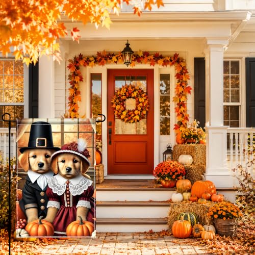 Image of BlissYard Fall Garden Flag 12x18 Inch Golden Retriever Pilgrim Puppie Decor | Double sided polyester, fall pilgrim cat pumpkin design, fall Thanksgiving porch and yard