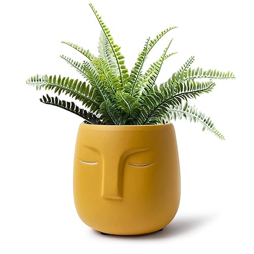 GeLive Head Succulent Plant Pot Ceramic Face Planter Modern Statue