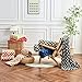 FY FIBER HOUSE Checkered Flannel Fleece Throw Blanket King Size Soft Cozy Checkerboard Grid Print Chessboard Pattern Blankets for Bed Couch Sofa, 90