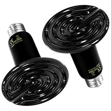 best heat lamp bulb