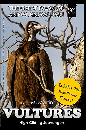 Vultures: High Gliding Scavengers (The Great Book of Animal Knowledge (includes 20+ magnificent photos!) 30) (English Edition)