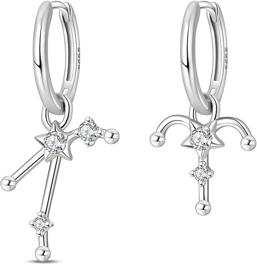 925 Sterling Silver Drop Earrings for Women, Zodiac Dangle Earrings Hypoallergenic With Cubic Zirconia Gift, Astrology Birthday Gifts for Her