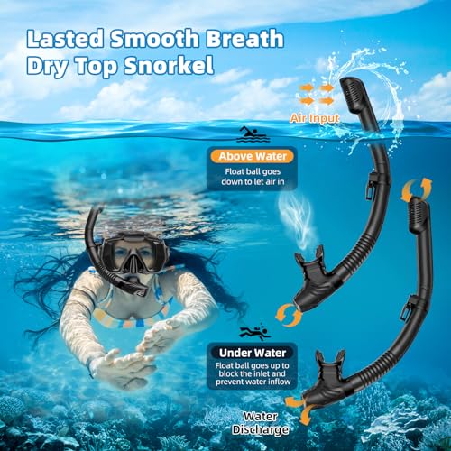 Honlanor Snorkel Set Adults Snorkeling Gear Anti-Leak and Anti-Fog Tempered Glass Lens Panoramic View Swim Mask Dry Top Snorkel Kit for Snorkeling Scuba Diving Swimming Travel with Carry Bag