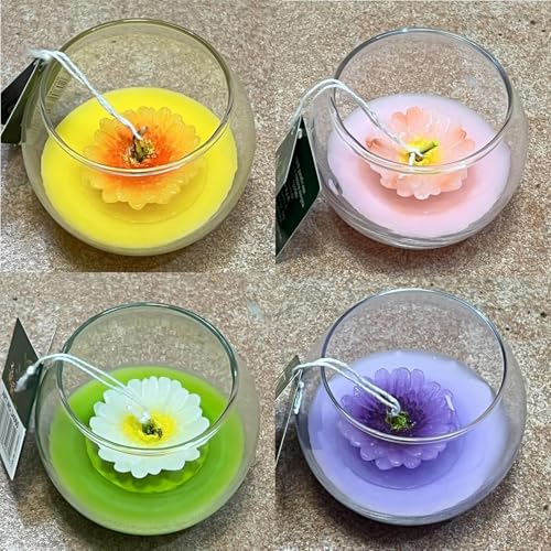 Regalami.shop set di 12 candele colorate a forma di fiore in vasetto di vetro con 12 eleganti scatoline da poter utilizzare come piccoli regalini o particolari bomboniere
