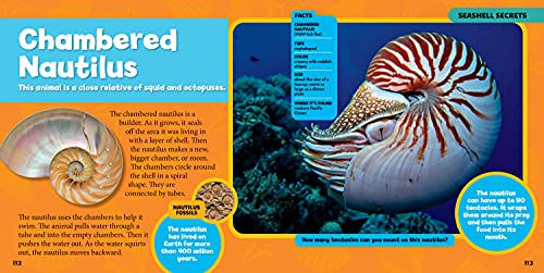 image for National Geographic Kids National Geographic Little Kids First Big Boo