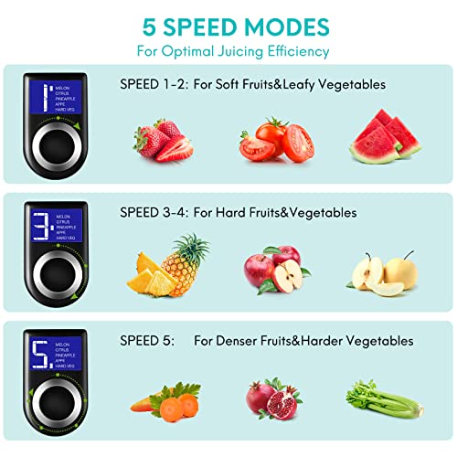 1000W 5-Speed Lcd Screen Centrifugal Juicer Machines Vegetable And Fruit, Healnitor Juice Extractor With Big Adjustable 3" Big Mouth, Easy Clean, Bpa-Free, High Juice Yield, Silver #TOP1