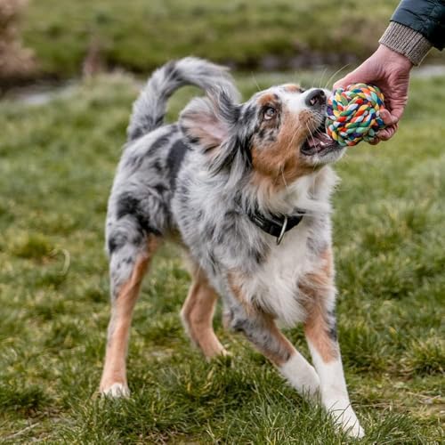Image of Dog and Puppy Toy Set - Chew, Teething, Rope, and Tug Toys for Small to Medium Dogs - Washable Cotton Rope for Dogs (Rope Ball)