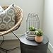 Rustic Farmhouse Lantern Decor Set of 2 - Stylish Decorative Lanterns for Your Living Room, Fireplace Mantle or Kitchen Dining Table - Modern Upscale Beauty for Your Entire Home