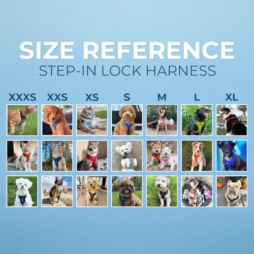 Image of Best Pet Supplies Voyager Step-in Lock Pet Harness w Reflective Pet Leash Combo Set with Neoprene Handle 5ft - Supports Small, Medium and Large Breed Puppies /Cats - Royal Blue Set, M