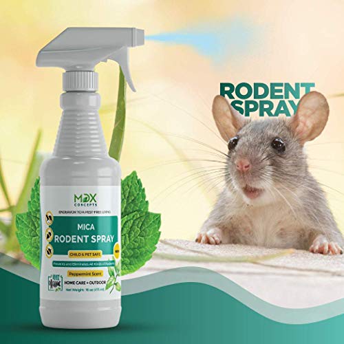 mdxconcepts Mice Repellent Spray - Peppermint Oil - Humane Mouse Trap Substitute - Made in USA - 16 oz Organic Spray - Guaranteed Effective - Works for All Types of Mice & Rats