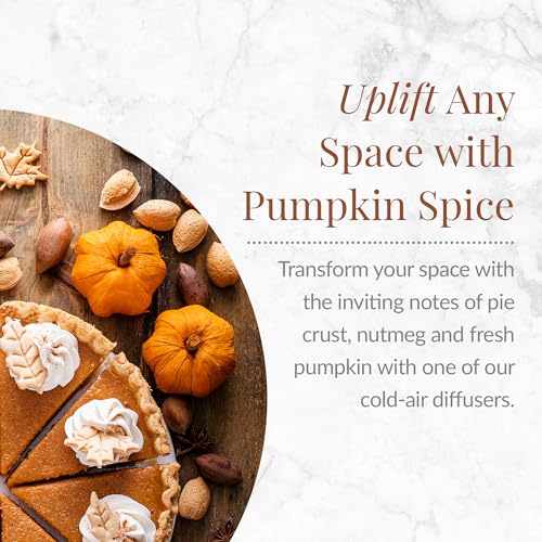 Aceite Aromático Pumpkin Spice 100 mL miniatura 2