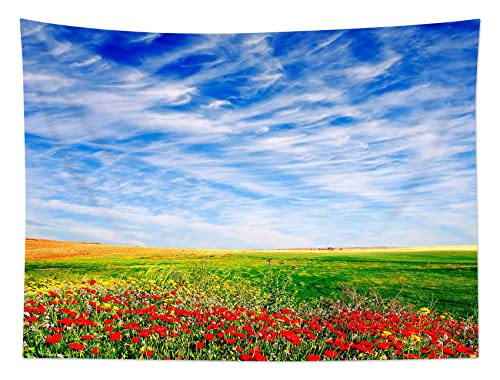 LB 自然の風景 タペストリー ケシの花 緑の野原 壁飾 青空と白雲 壁の装飾 インテリア ウォールアート 新居祝い 多機能 布ポスター 部屋飾り お店 雑貨 おしゃれな壁掛け 個性ギフト 150ｘ100cm [5]