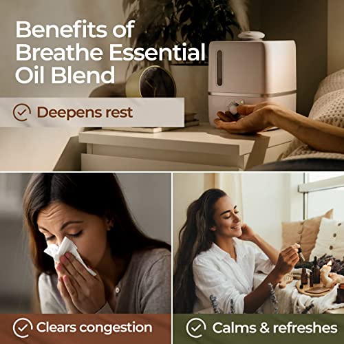 Gya Labs Breathe Essential Oil Blends - 100% Therapeutic Grade Breathe Easy Essential Oils From Eucalyptus, Peppermint Oil And More, For Sinus Relief, Humidifier Cleaner & Congestion (0.34 Fl Oz) #TOP3