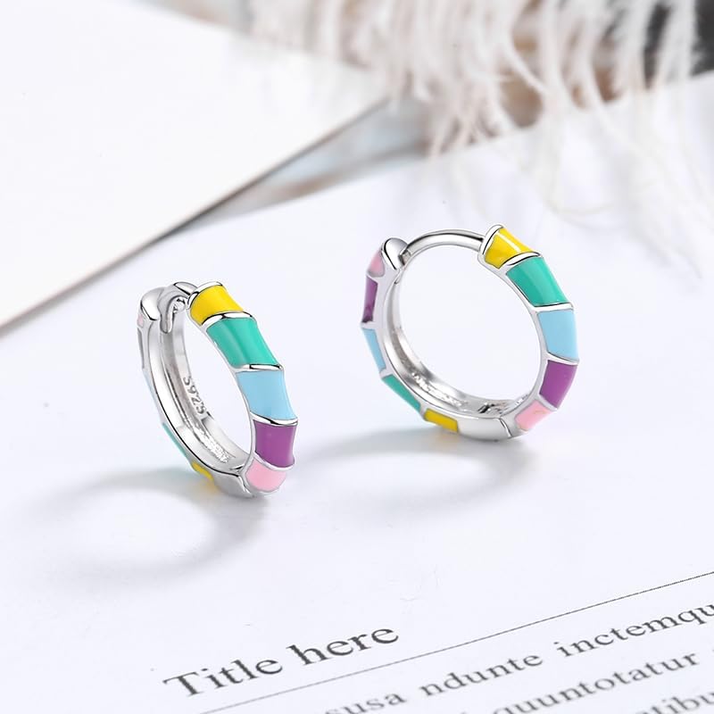 BG&WLing Rainbow Huggie Earrings for Women Neon Hoop Earrings Hypoallergenic Dainty Opal Earring Fashion Jewelry - Image 6